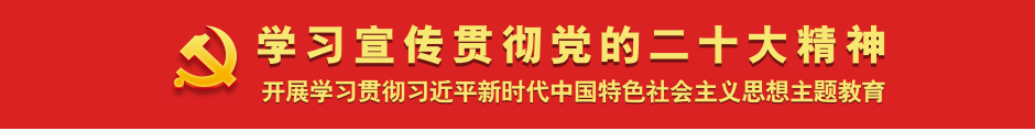 学习宣传贯彻党的二十大精神——开展学习贯彻习近平新时代中国特色社会主义思想主题教育